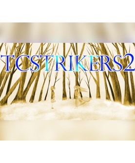TCSTRIKERS2 Steam Key GLOBAL